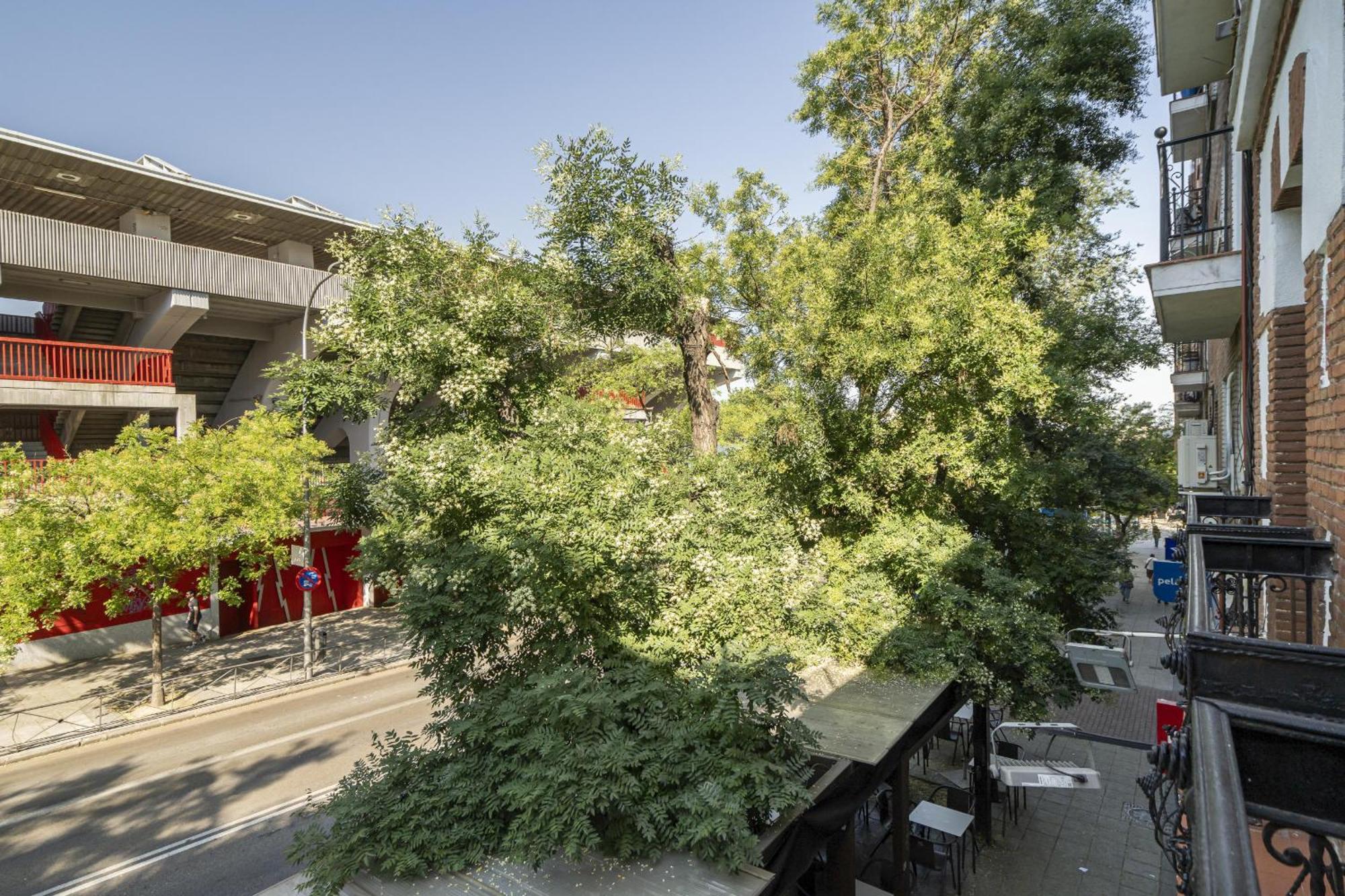 Apartamentos En La Avda De La Albufera Alquiler Temporal Madrid Eksteriør bilde